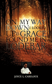 Joyce L. Carelock - On My Way Down I Looked Up and, Häftad