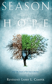 bokomslag Season of Hope