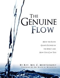 bokomslag Genuine Flow