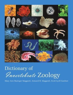 bokomslag Dictionary of Invertebrate Zoology --Paperback
