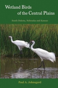 bokomslag Wetland Birds of the Central Plains