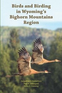 bokomslag Birds and Birding in Wyoming's Bighorn Mountains Region