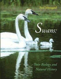 bokomslag Swans
