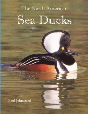 The North American Sea Ducks 1