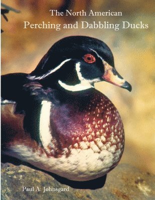 Paul Johnsgard - North American Perching and Dabbling Ducks, Häftad