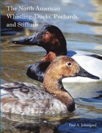 bokomslag North American Whistling-Ducks, Pochards, and Stifftails
