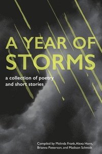 bokomslag A Year of Storms