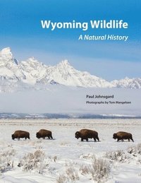 bokomslag Wyoming Wildlife