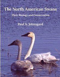 bokomslag The North American Swans