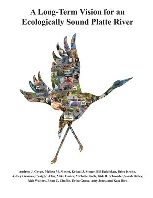 bokomslag Long-Term Vision for an Ecologically Sound Platte River