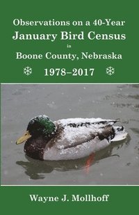 bokomslag Observations on a 40-Year January Bird Census in Boone County, Nebraska, 1978-2017