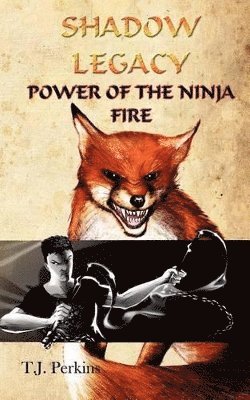 bokomslag Power of the Ninja - Fire (Shadow Legacy, Book 2)