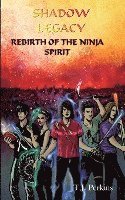 Rebirth of the Ninja - Spirit 1