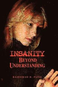 bokomslag Insanity - Beyond Understanding