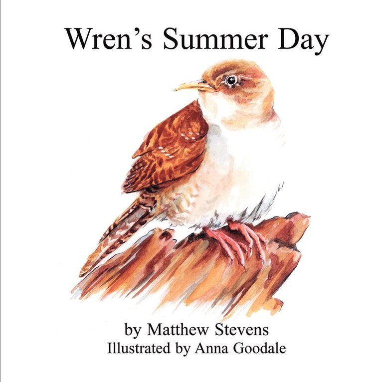 Wren's Summer Day 1