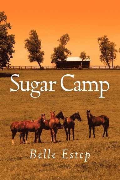 bokomslag Sugar Camp