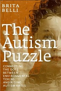 bokomslag The Autism Puzzle