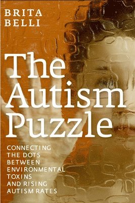 bokomslag The Autism Puzzle