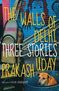bokomslag Walls of Delhi