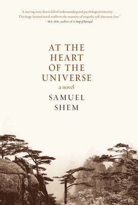bokomslag At the Heart of the Universe