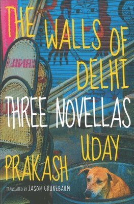 bokomslag Walls of Delhi