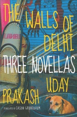 The Walls of Delhi 1
