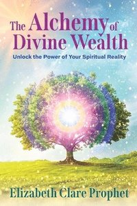 bokomslag Alchemy of Divine Wealth