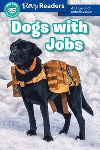 bokomslag Ripley Readers: Dogs with Jobs