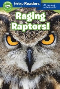bokomslag Ripley Readers Level2 Raging Raptors!