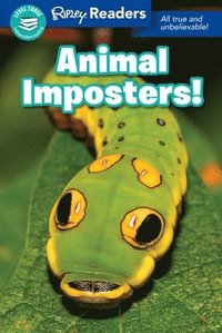 bokomslag Ripley Readers Level3 Animal Imposters!