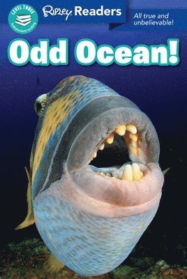 Ripley Readers Level3 Lib Edn Odd Ocean! 1