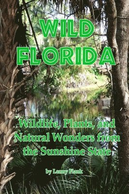 Wild Florida 1