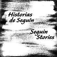bokomslag Historias de Seguin