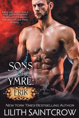 bokomslag Sons of Ymre