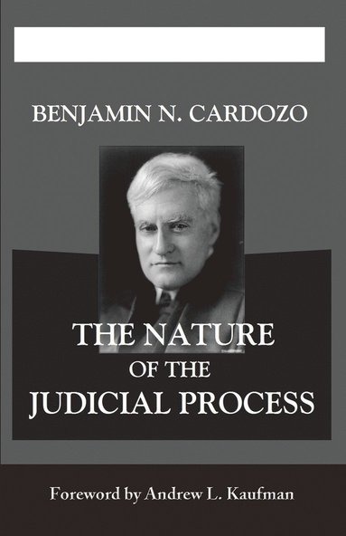 bokomslag The Nature of the Judicial Process