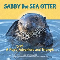bokomslag Sabby the Sea Otter: A Pup's True Adventure and Triumph