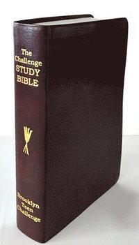 bokomslag CEV Challenge Study Bible-Flexi Cover