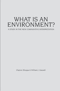 bokomslag What Is an Environment?: A Study in the New Comparative Interpretation