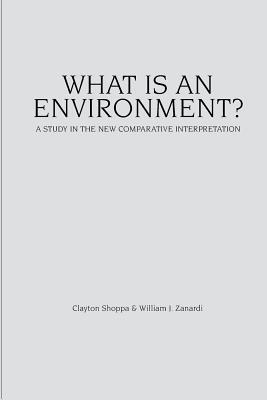 bokomslag What Is an Environment?: A Study in the New Comparative Interpretation