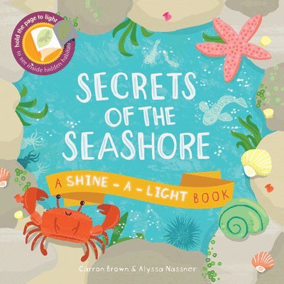 Secrets of the Seashore 1