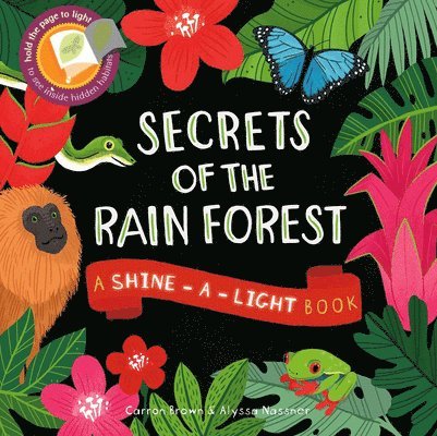 Secrets of the Rain Forest 1