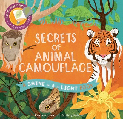 Secrets of Animal Camouflage 1