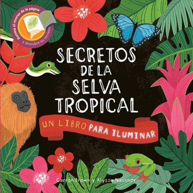 bokomslag Secretos de la Selva Tropical