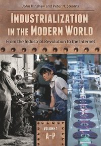 bokomslag Industrialization in the Modern World