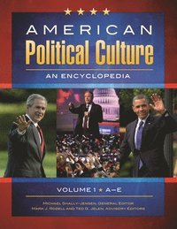 bokomslag American Political Culture