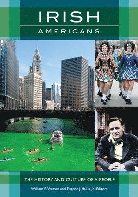 bokomslag Irish Americans