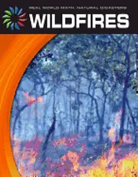 Tamra B Orr - Wildfires, Inbunden. Tillgänglighet: Lägg i varukorg