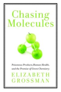 bokomslag Chasing Molecules