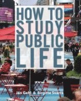 bokomslag How to Study Public Life