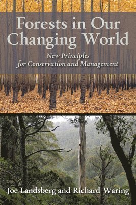 bokomslag Forests in Our Changing World : New Principles for Conservation and Management